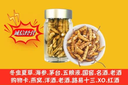 沈阳浑南区回收散虫草