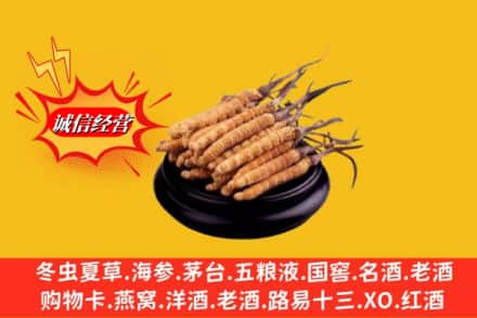 沈阳浑南区求购回收虫草多少钱每克